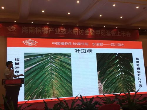 創新驅動，共贏未來——2018檳榔產業技術研討交流會紀實與展望